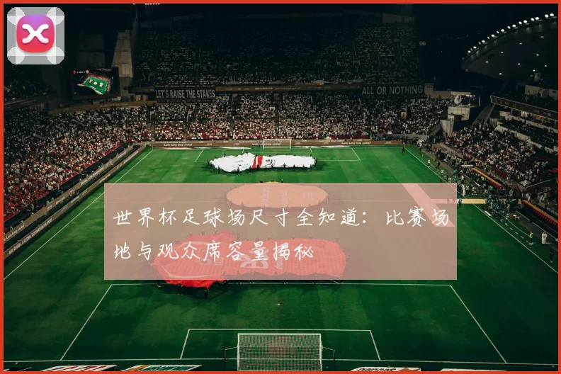 世界杯足球场尺寸全知道：比赛场地与观众席容量揭秘