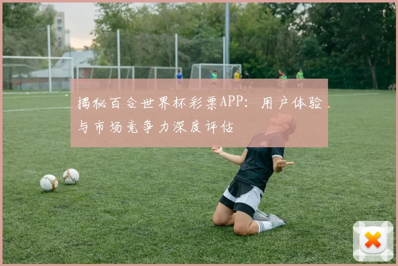 揭秘百合世界杯彩票APP：用户体验与市场竞争力深度评估