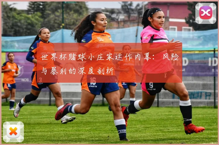 世界杯赌球小庄家运作内幕：风险与暴利的深度剖析